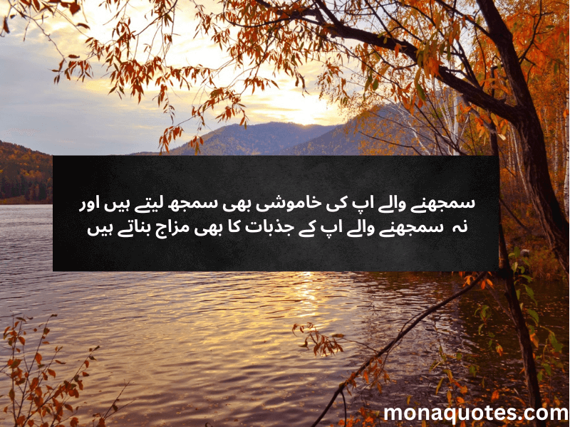  Deep Hurt Quotes In Urdu 