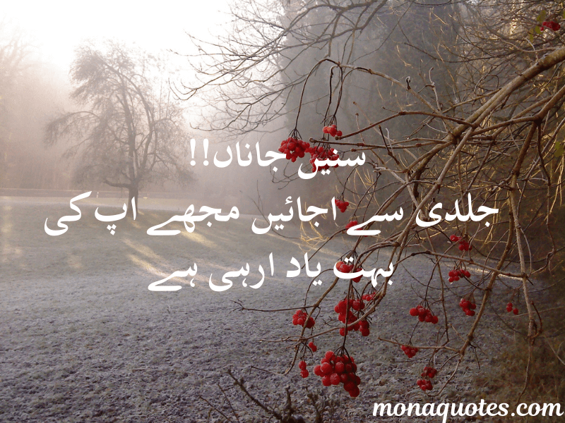  Miss You Quotes In Urdu
