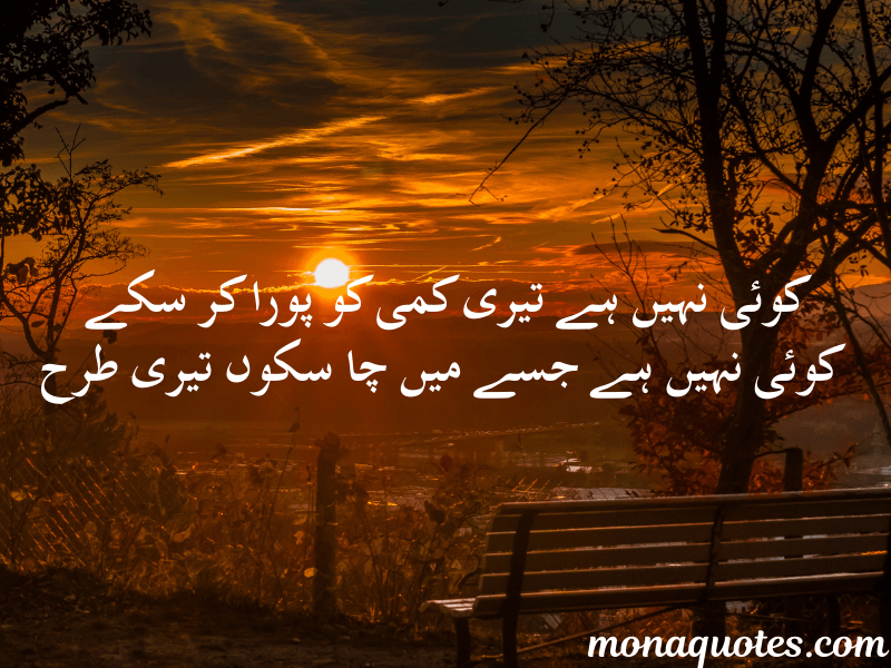  Miss You Quotes In Urdu