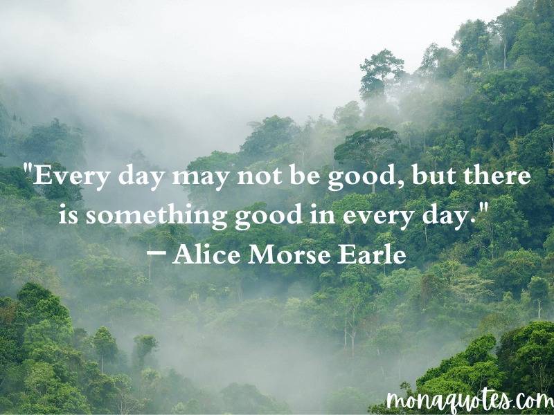  good morning quotes with flowers