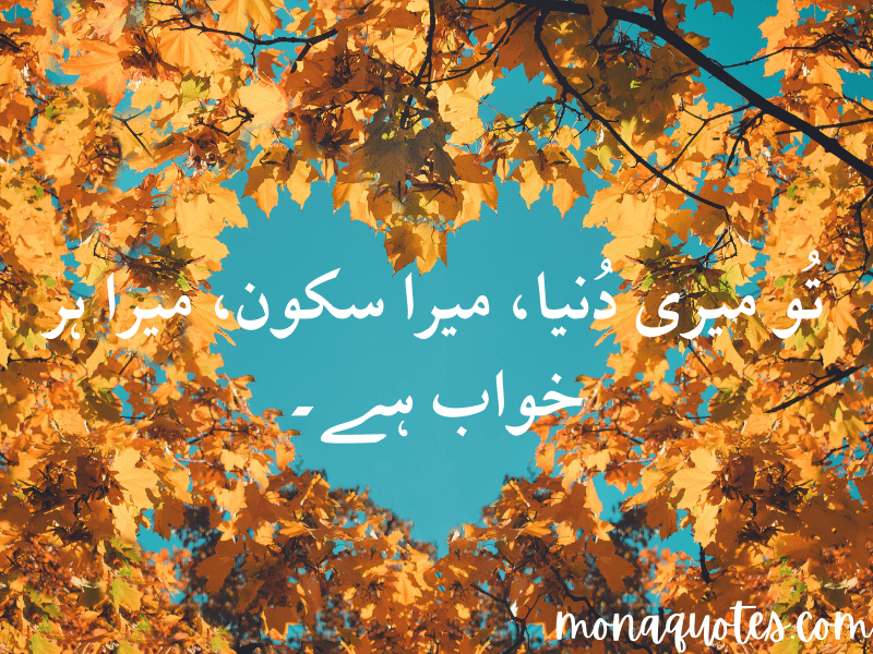 Romantic Quotes in Urdu