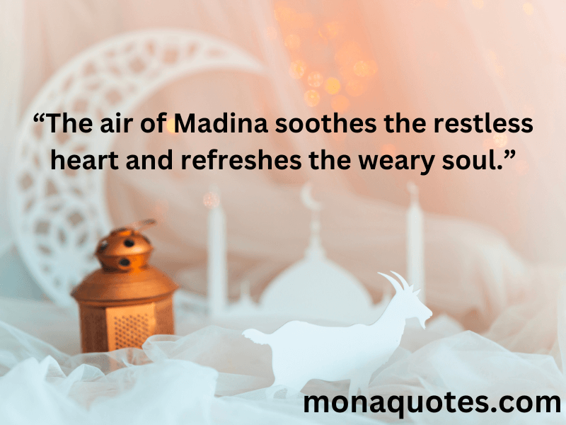 Madina Quotes in English 