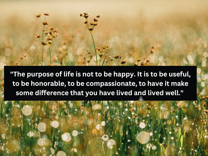 My Aim in Life Quotes in English